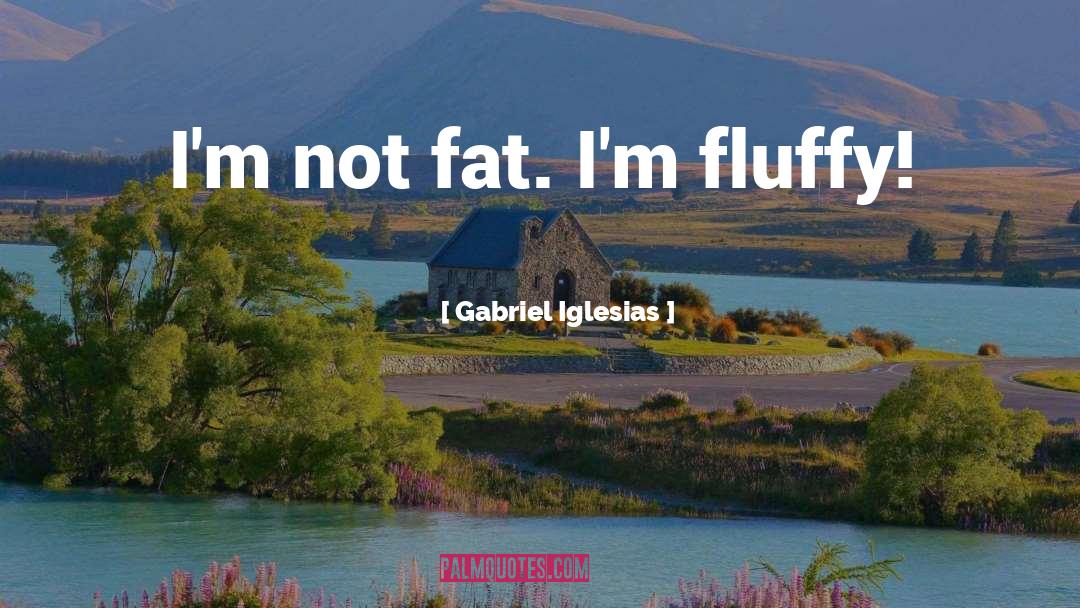 Gabriel Iglesias Quotes: I'm not fat. I'm fluffy!