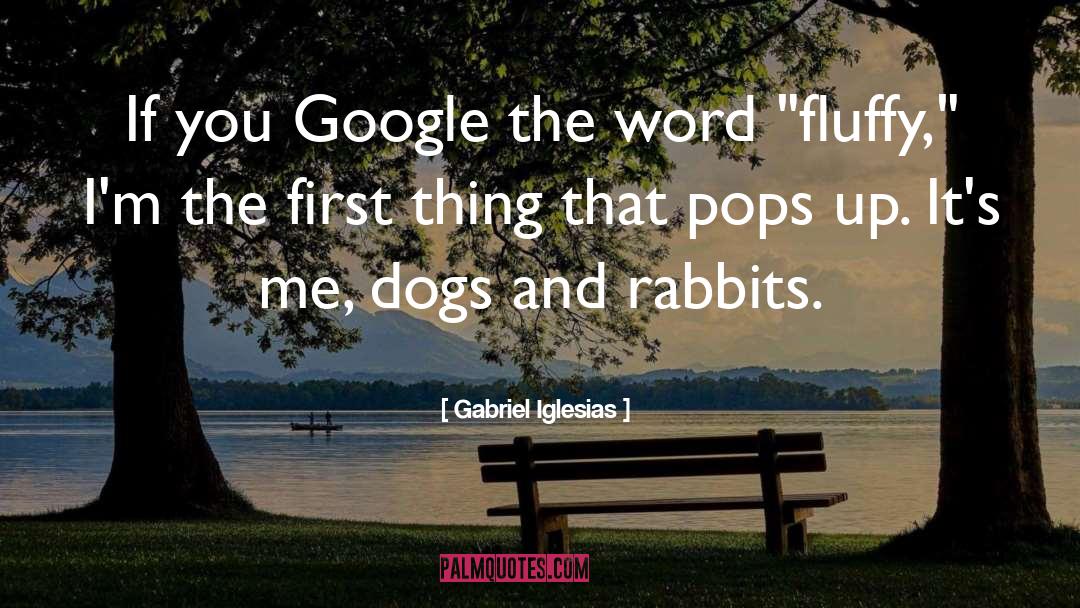 Gabriel Iglesias Quotes: If you Google the word