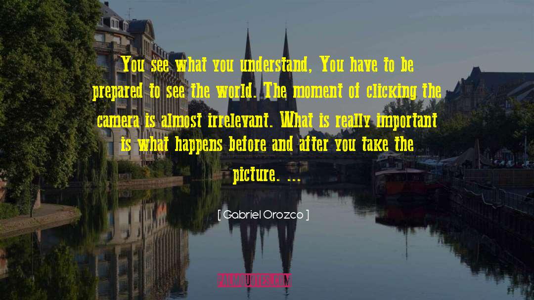 Gabriel Orozco Quotes: You see what you understand,