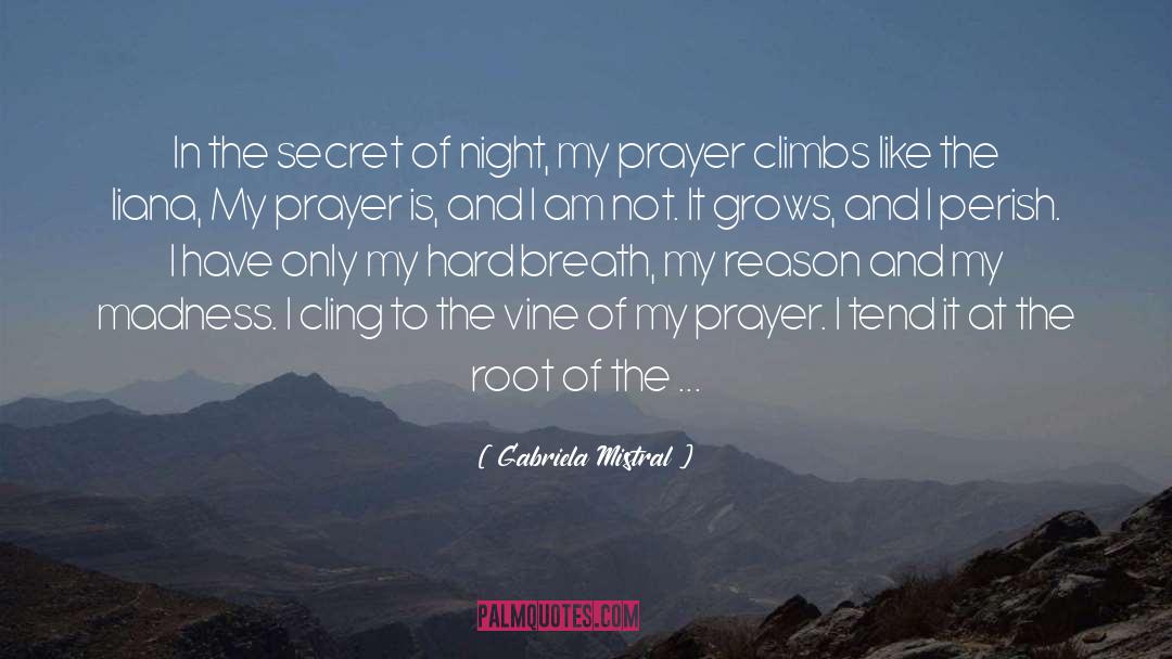 Gabriela Mistral Quotes: In the secret of night,