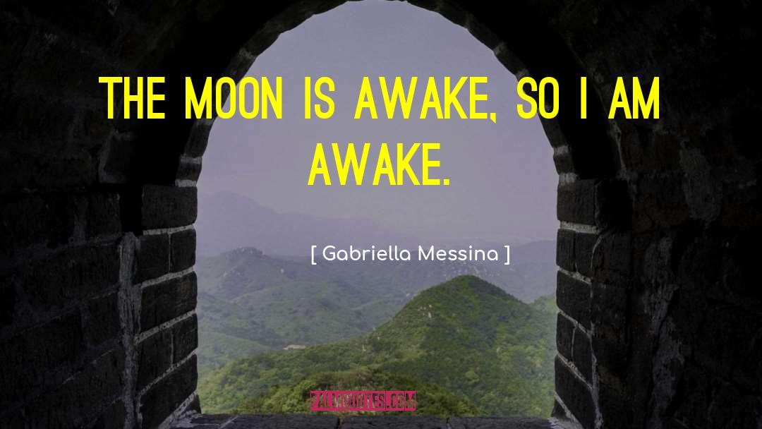 Gabriella Messina Quotes: The moon is awake, so