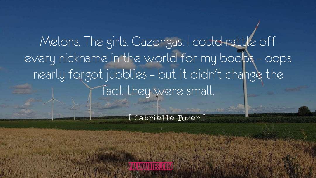 Gabrielle Tozer Quotes: Melons. The girls. Gazongas. I