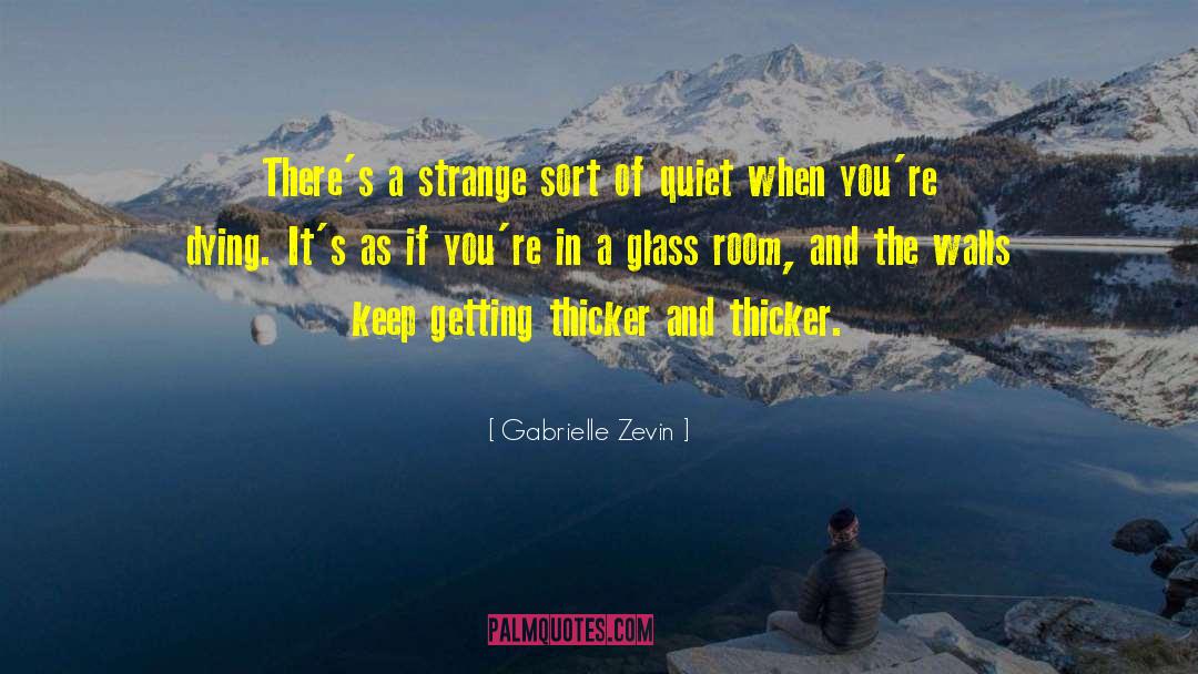 Gabrielle Zevin Quotes: There's a strange sort of