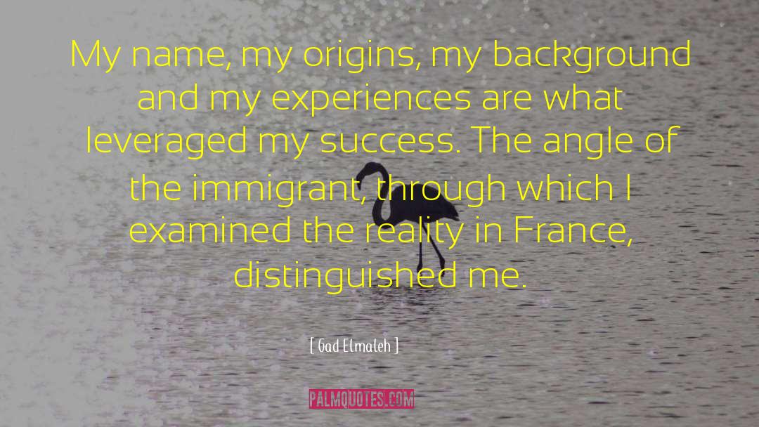Gad Elmaleh Quotes: My name, my origins, my