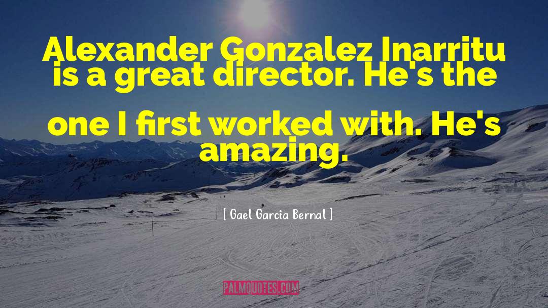 Gael Garcia Bernal Quotes: Alexander Gonzalez Inarritu is a