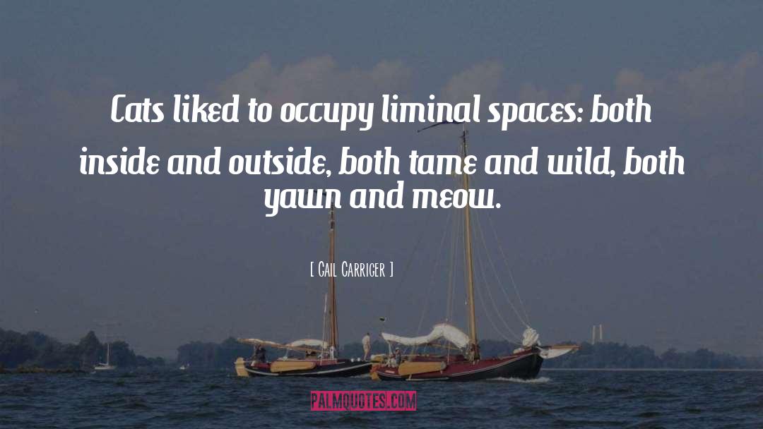 Gail Carriger Quotes: Cats liked to occupy liminal