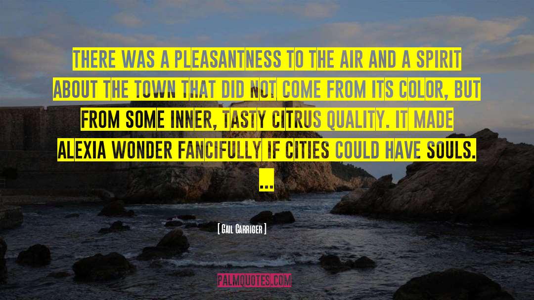 Gail Carriger Quotes: There was a pleasantness to