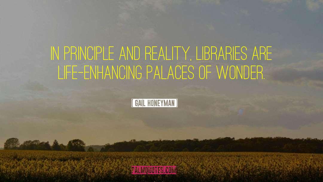 Gail Honeyman Quotes: In principle and reality, libraries