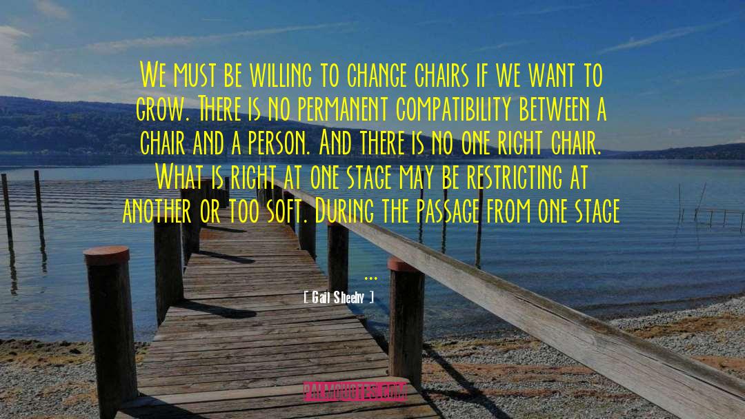 Gail Sheehy Quotes: We must be willing to