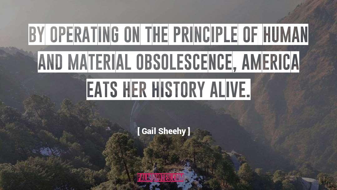 Gail Sheehy Quotes: By operating on the principle