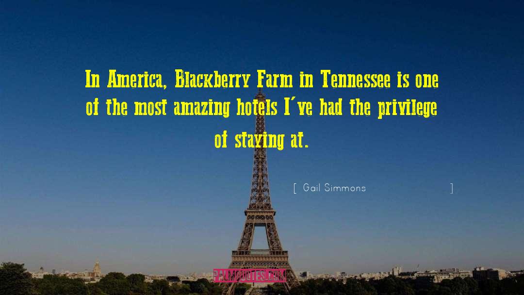 Gail Simmons Quotes: In America, Blackberry Farm in