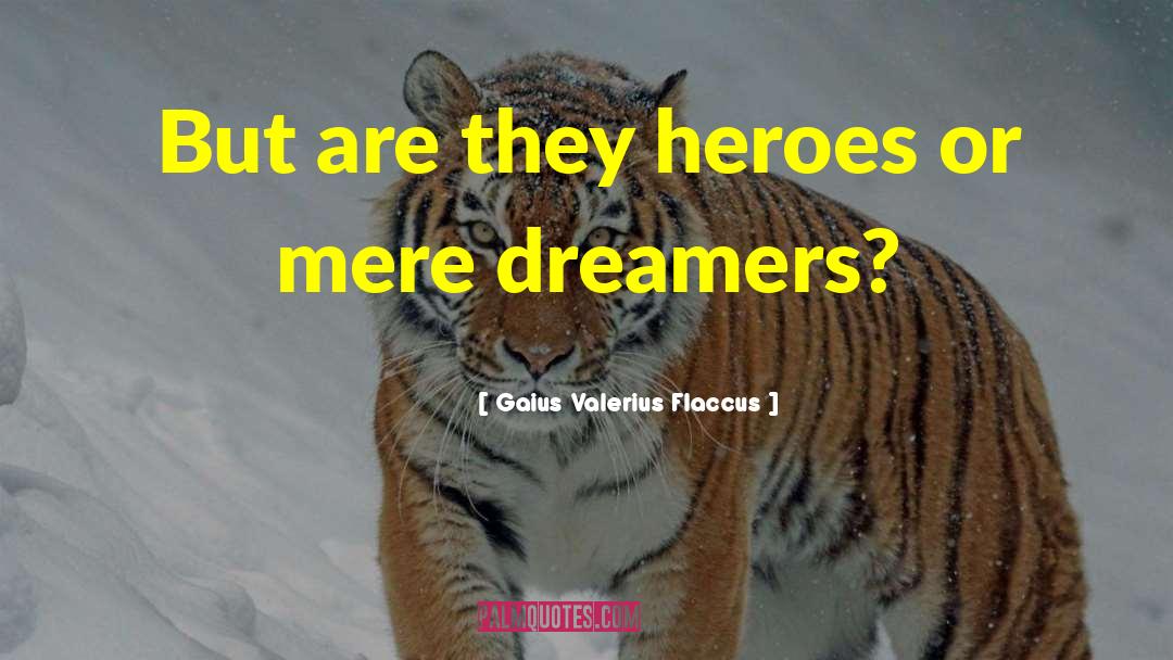 Gaius Valerius Flaccus Quotes: But are they heroes or