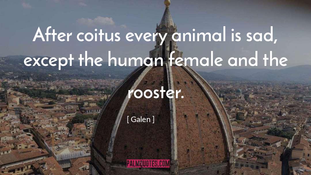 Galen Quotes: After coitus every animal is