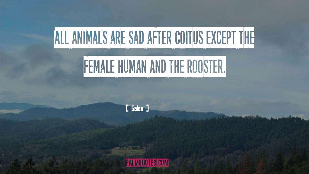 Galen Quotes: All animals are sad after