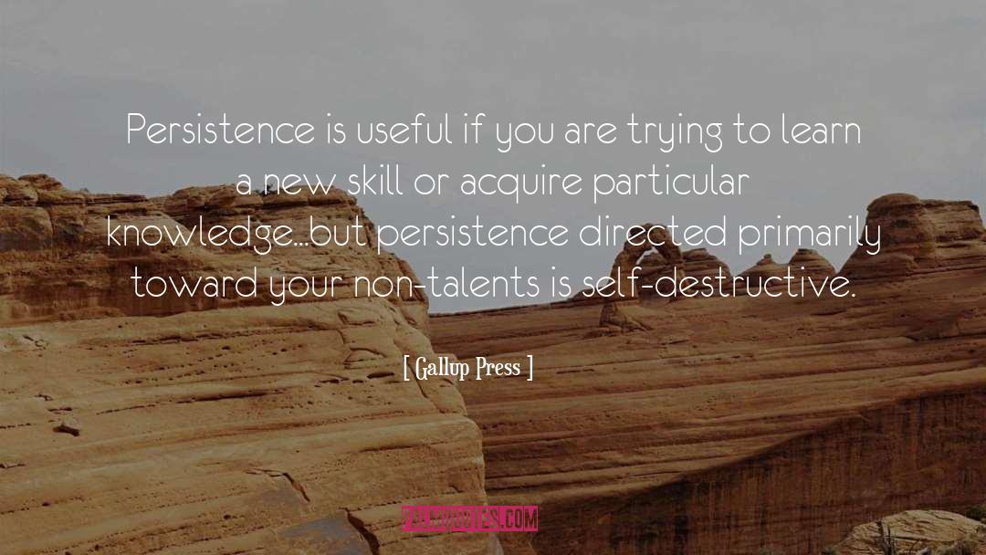 Gallup Press Quotes: Persistence is useful if you