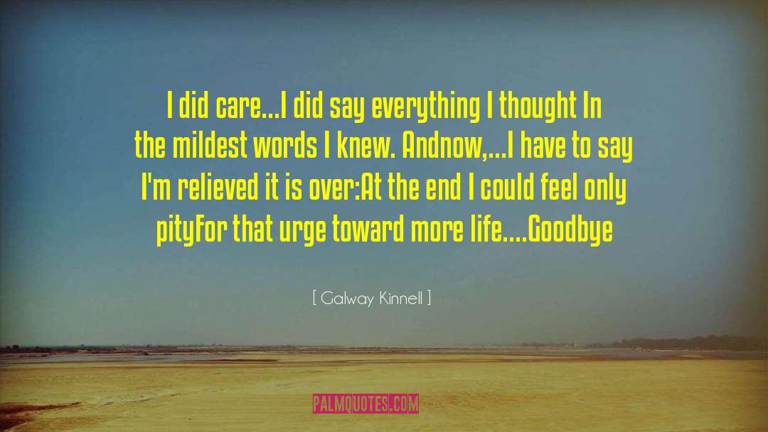 Galway Kinnell Quotes: I did care...<br />I did