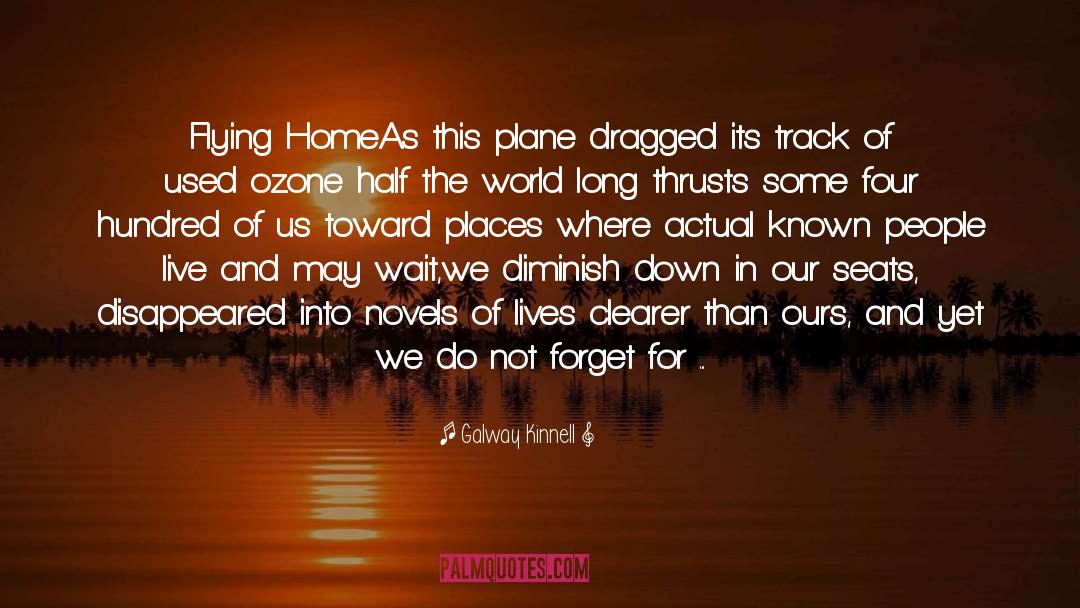 Galway Kinnell Quotes: Flying Home<br /><br />As this