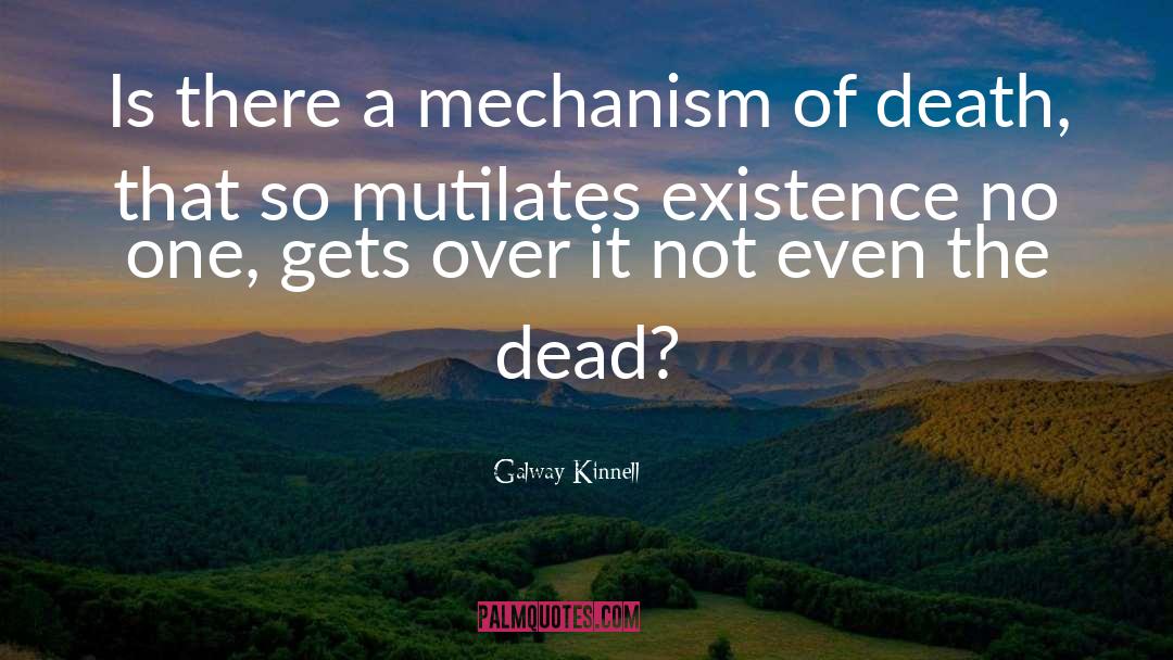 Galway Kinnell Quotes: Is there a mechanism of