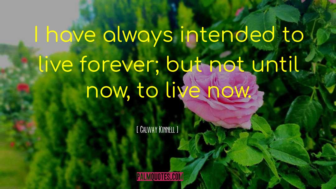 Galway Kinnell Quotes: I have always intended to