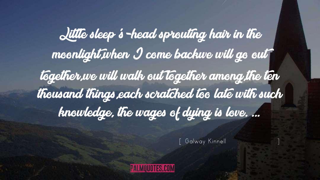 Galway Kinnell Quotes: Little sleep's-head sprouting hair in