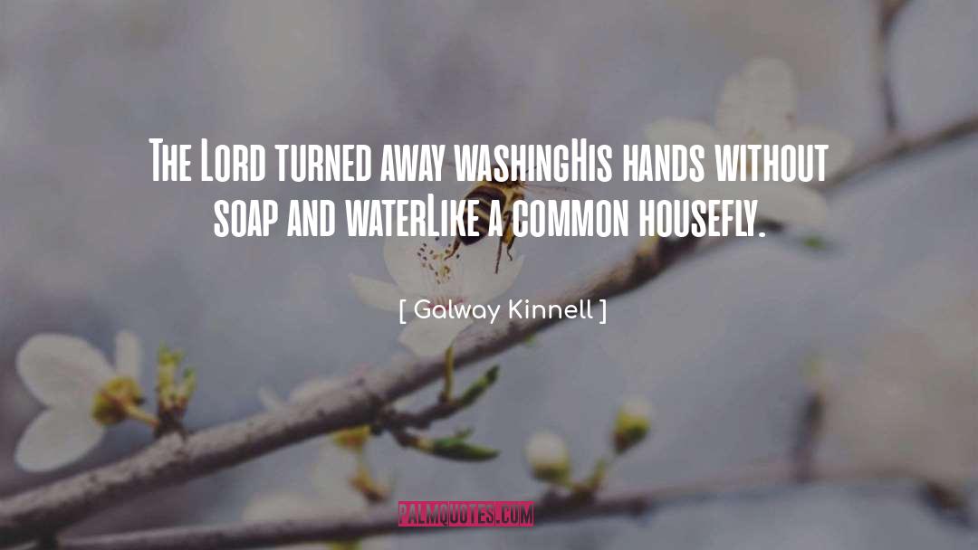 Galway Kinnell Quotes: The Lord turned away washing<br