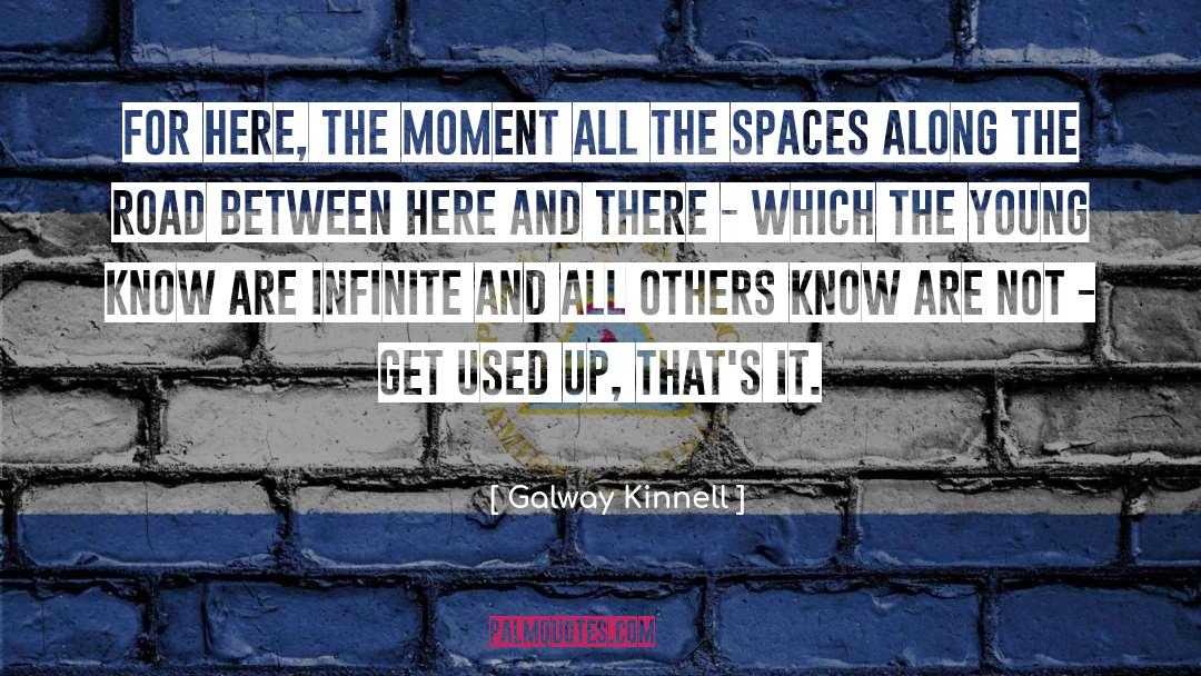 Galway Kinnell Quotes: For here, the moment all