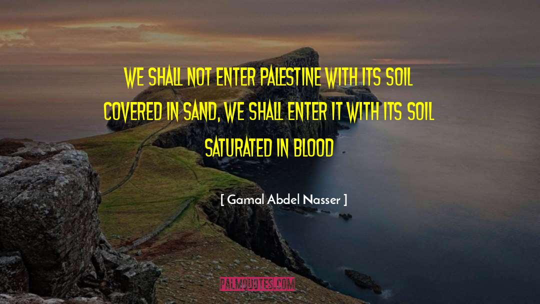 Gamal Abdel Nasser Quotes: We shall not enter Palestine