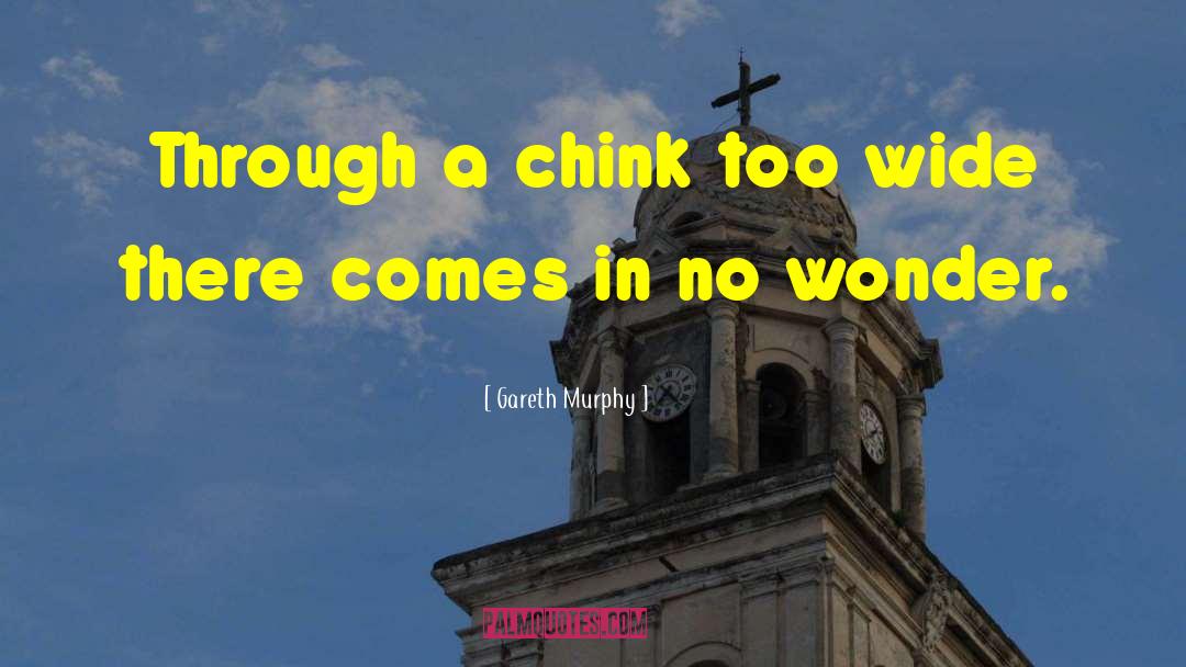 Gareth Murphy Quotes: Through a chink too wide