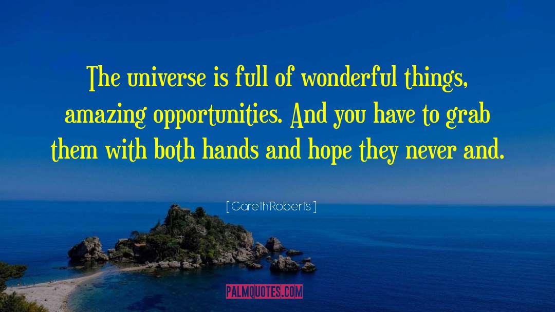 Gareth Roberts Quotes: The universe is full of