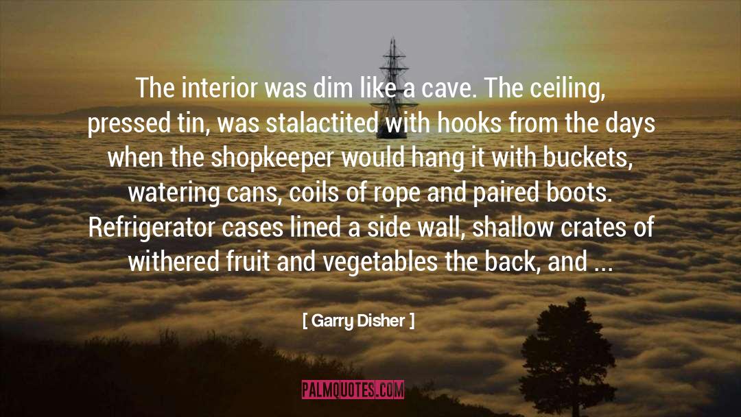 Garry Disher Quotes: The interior was dim like