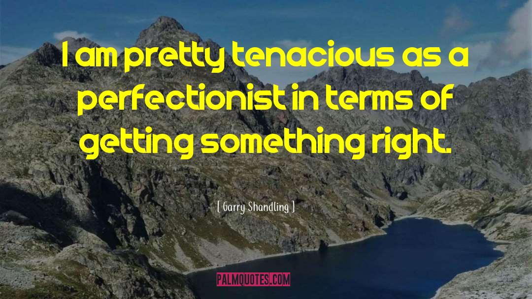 Garry Shandling Quotes: I am pretty tenacious as