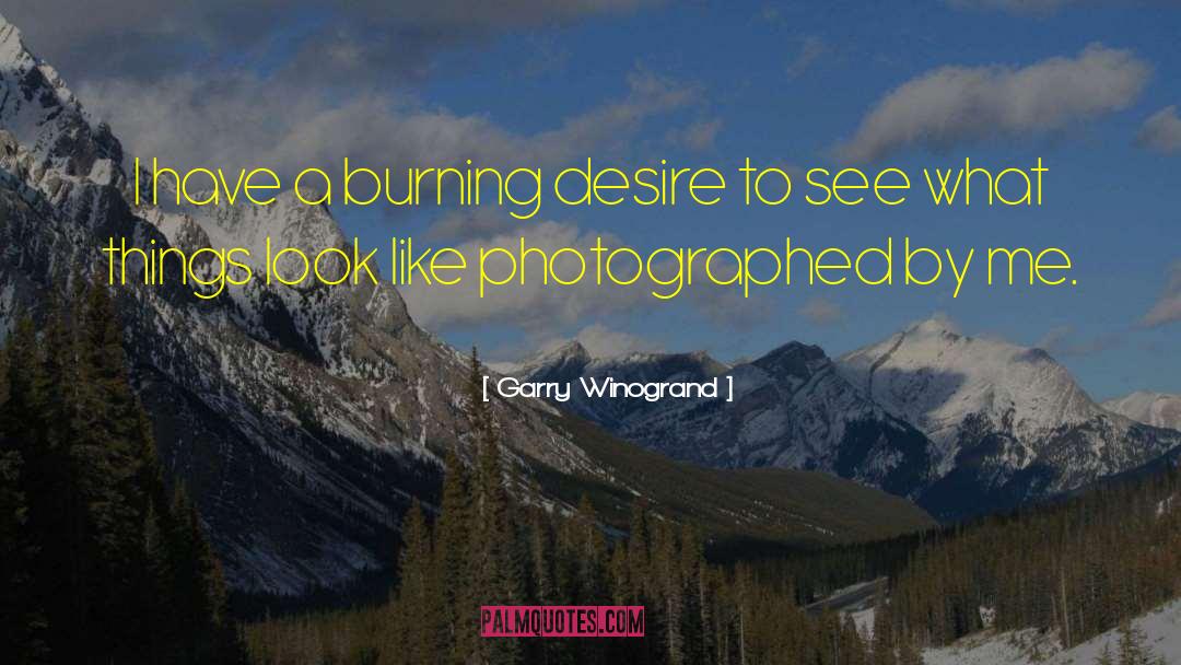 Garry Winogrand Quotes: I have a burning desire