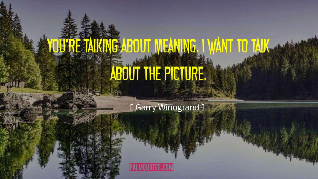 Garry Winogrand Quotes: You're talking about meaning. I
