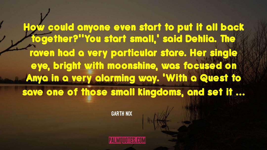 Garth Nix Quotes: How could anyone even start