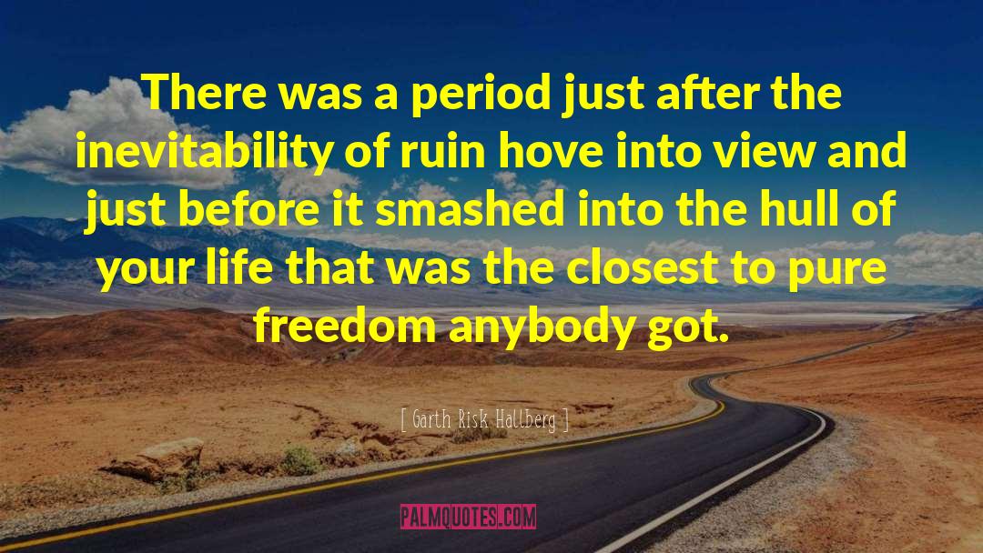 Garth Risk Hallberg Quotes: There was a period just