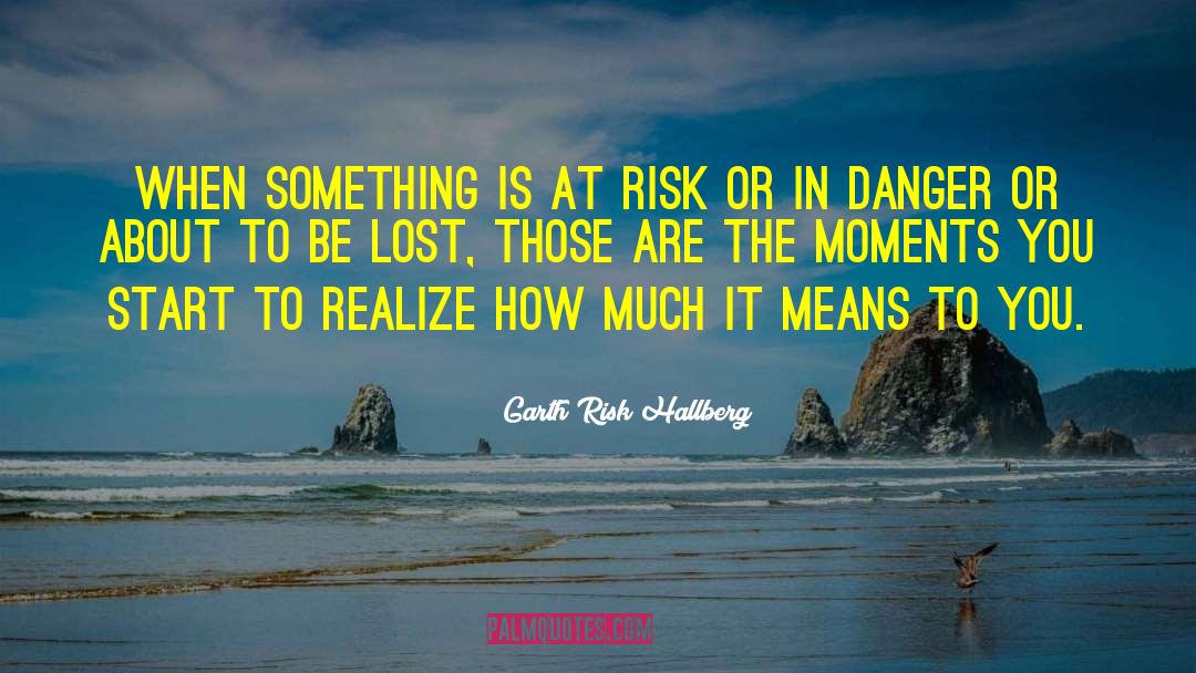 Garth Risk Hallberg Quotes: When something is at risk