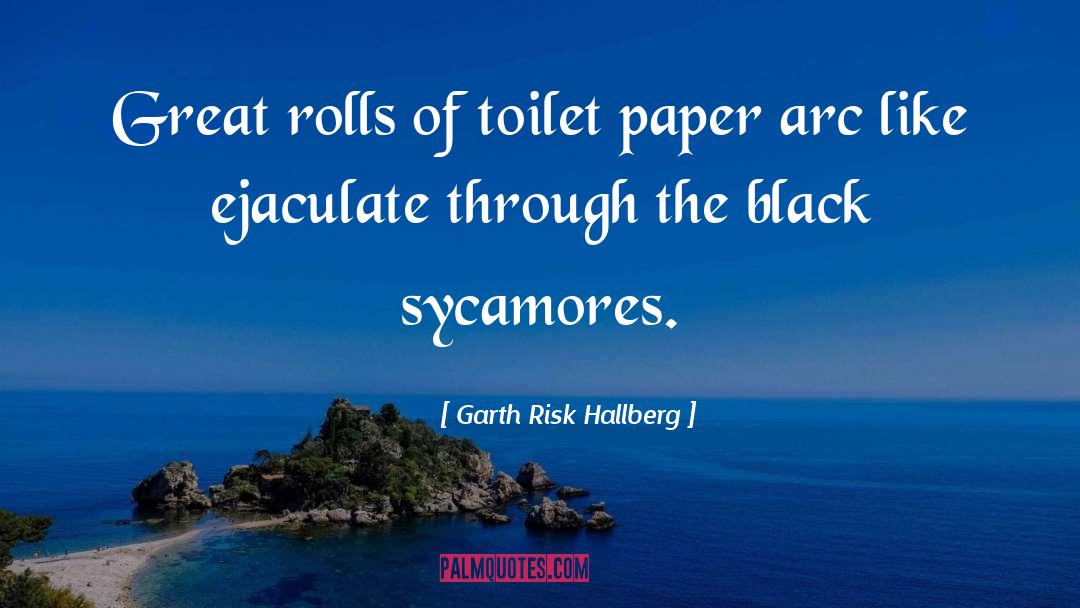 Garth Risk Hallberg Quotes: Great rolls of toilet paper