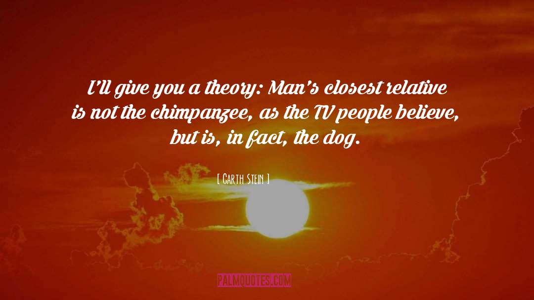 Garth Stein Quotes: I'll give you a theory: