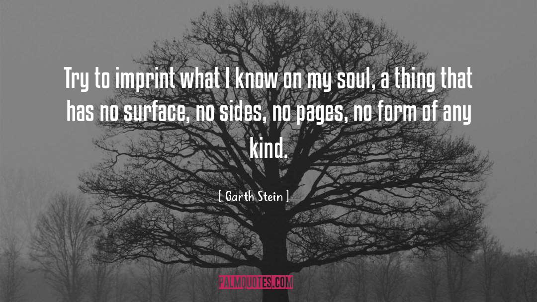 Garth Stein Quotes: Try to imprint what I