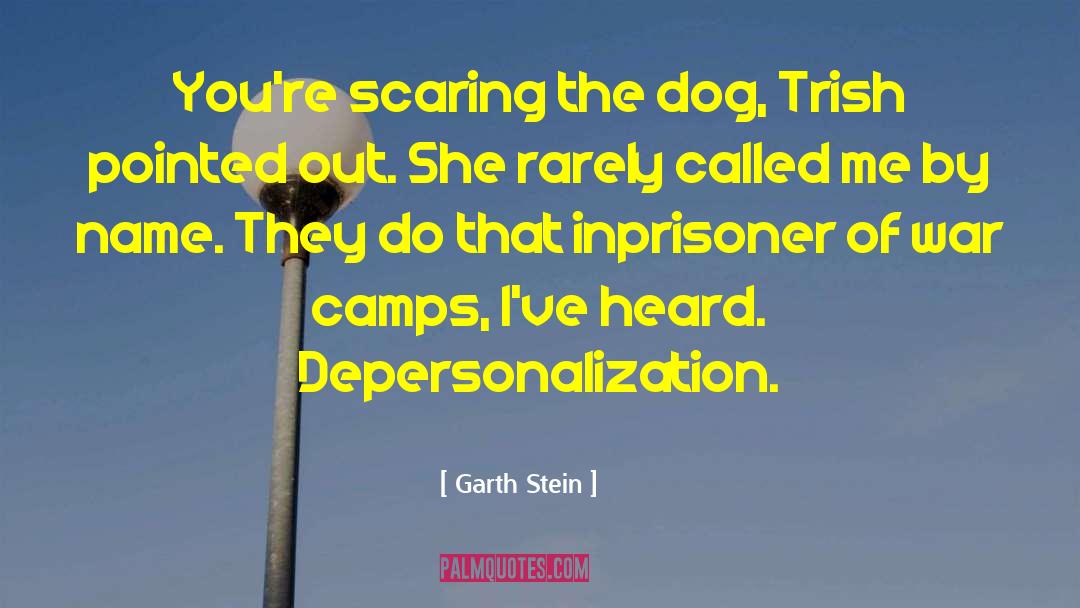 Garth Stein Quotes: You're scaring the dog, Trish