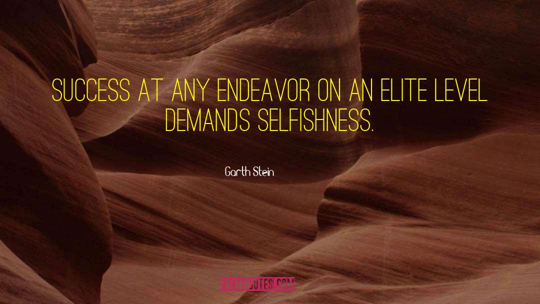 Garth Stein Quotes: Success at any endeavor on