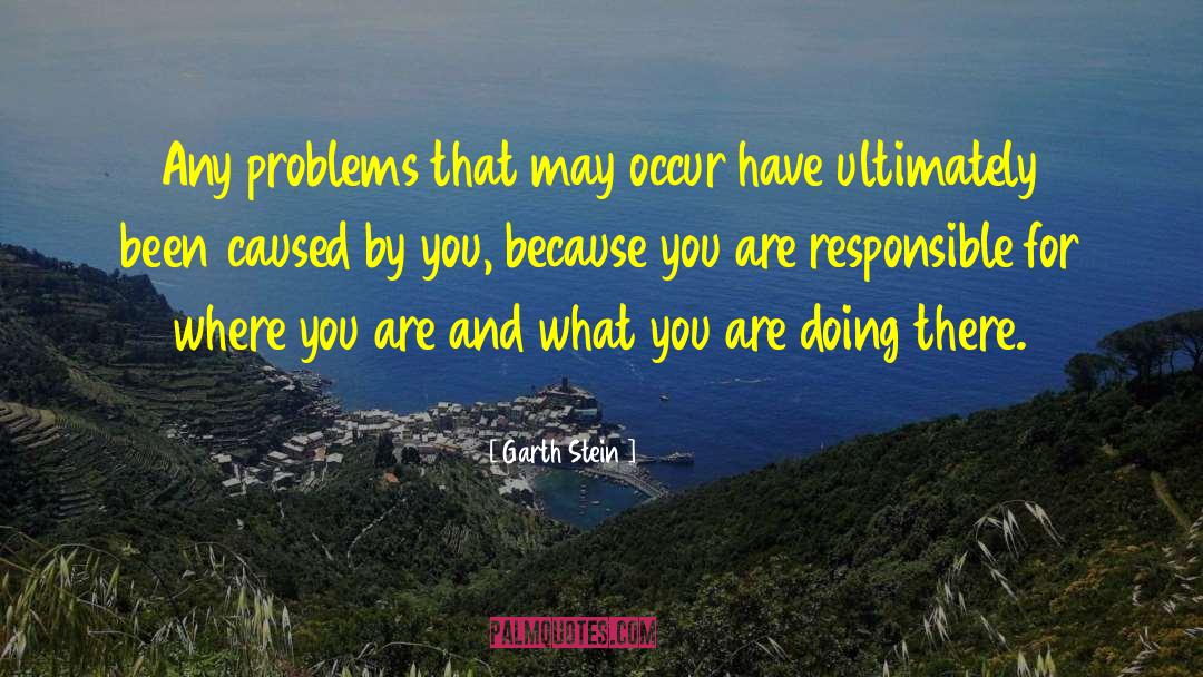Garth Stein Quotes: Any problems that may occur