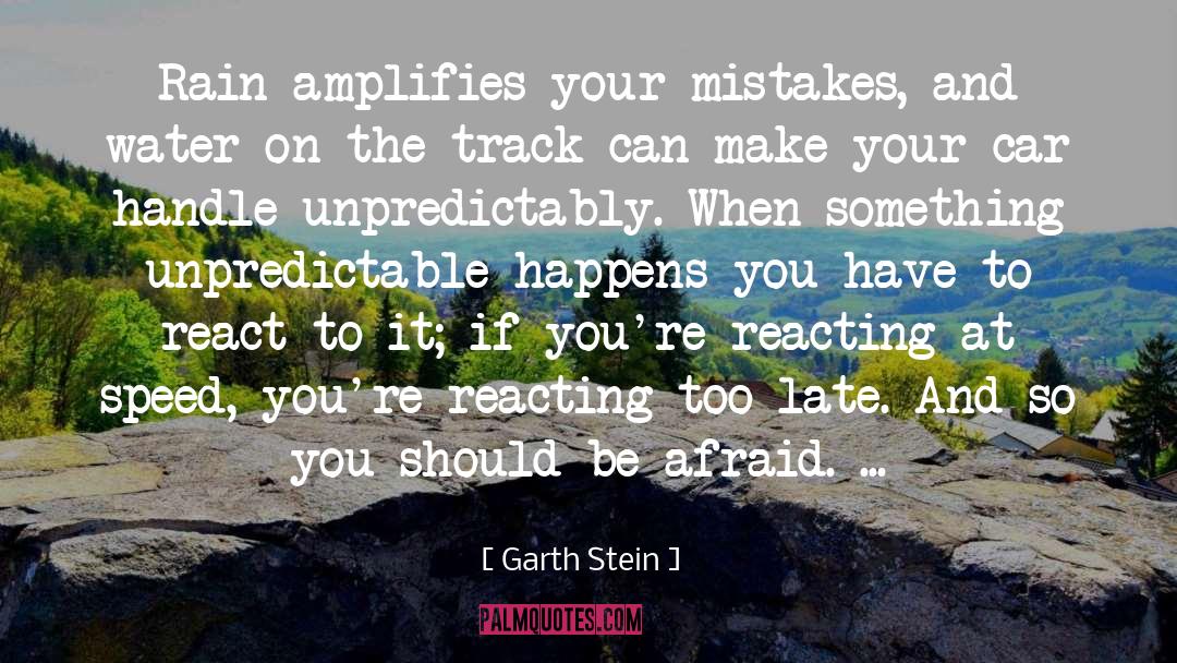 Garth Stein Quotes: Rain amplifies your mistakes, and