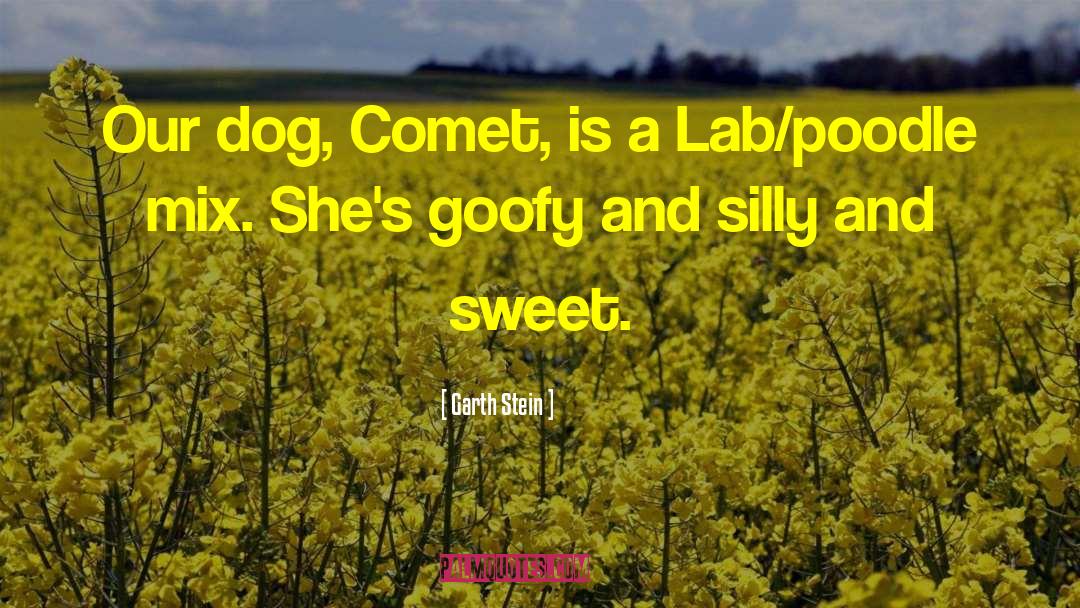 Garth Stein Quotes: Our dog, Comet, is a