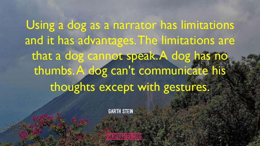 Garth Stein Quotes: Using a dog as a