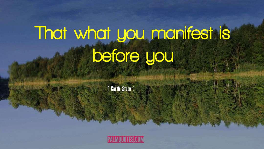 Garth Stein Quotes: That what you manifest is