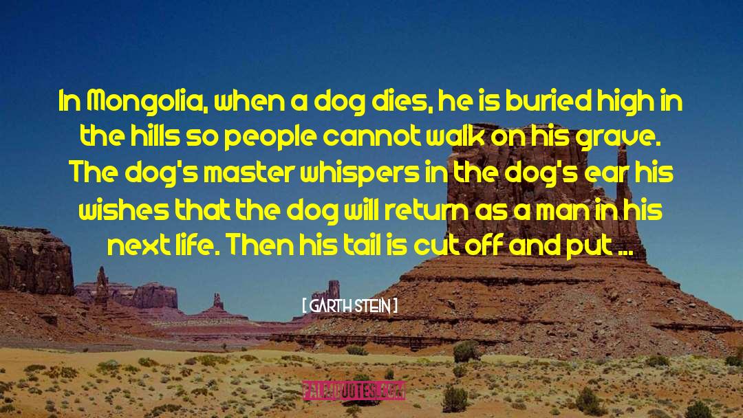 Garth Stein Quotes: In Mongolia, when a dog