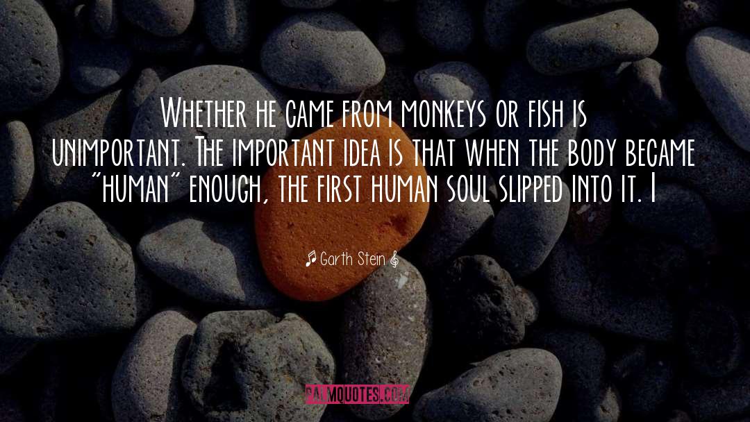 Garth Stein Quotes: Whether he came from monkeys