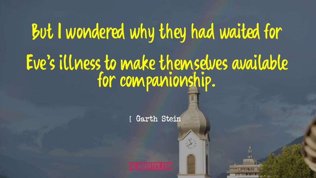 Garth Stein Quotes: But I wondered why they