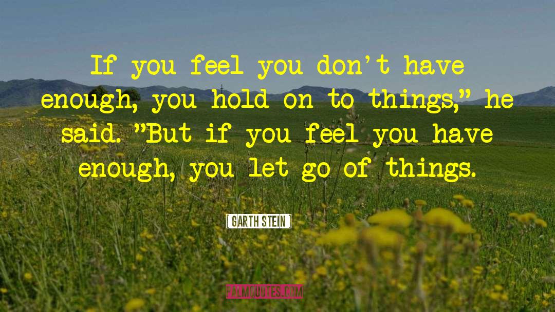 Garth Stein Quotes: If you feel you don't